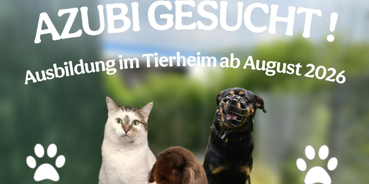 Werde Teil unseres Teams – Ausbildung ab August 2026