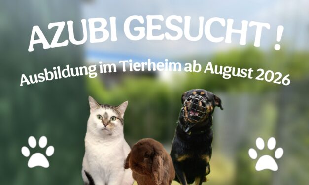 Werde Teil unseres Teams – Ausbildung ab August 2026