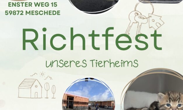 Richtfest mit Flohmarkt am 31.05.2026