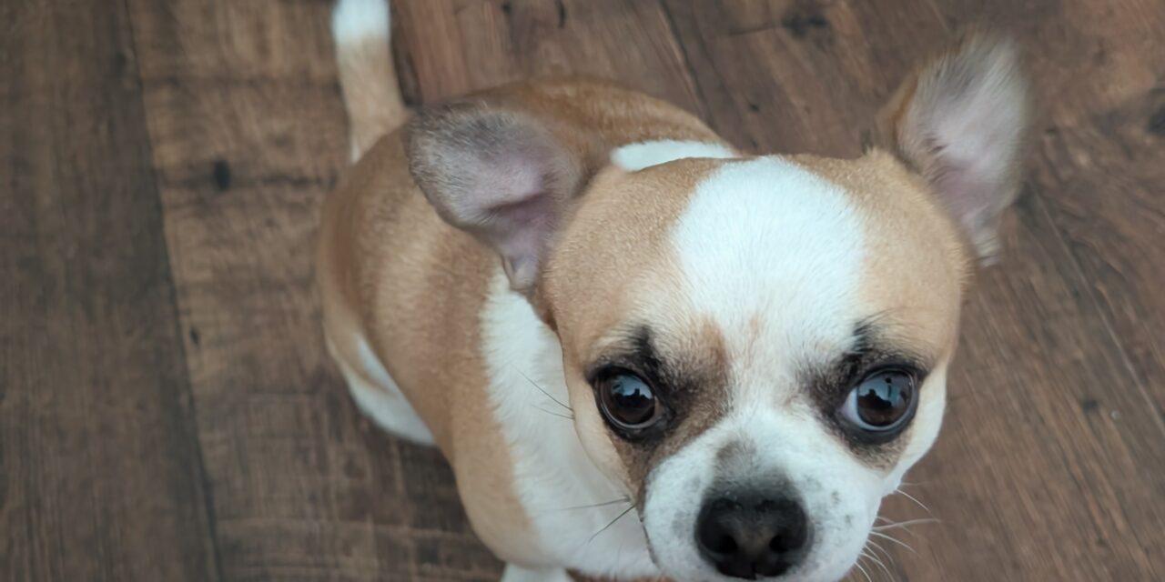 Milow (Vermittlungshilfe)