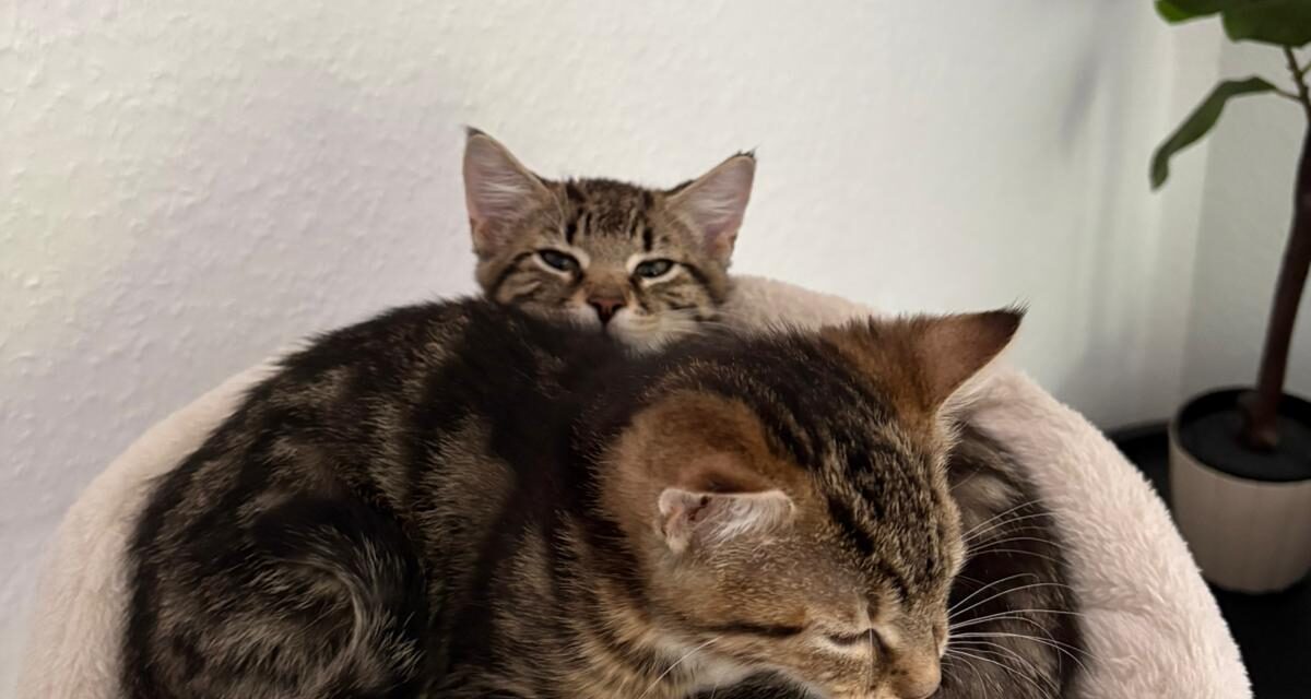 Yoko und Crunch sind angekommen