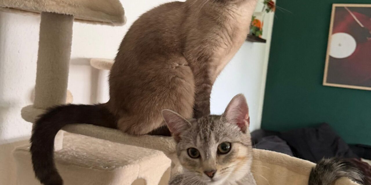 Freya mit ihrem neuen Kumpel Bubi