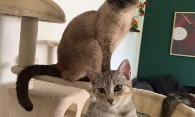 Freya mit ihrem neuen Kumpel Bubi