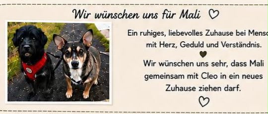Vermittlungshilfe Cleo und Mali