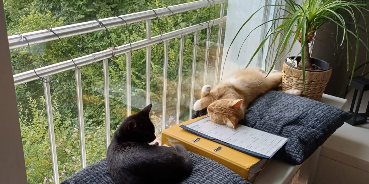 Hermine und ihr neuer Freund