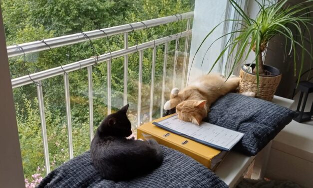 Hermine und ihr neuer Freund