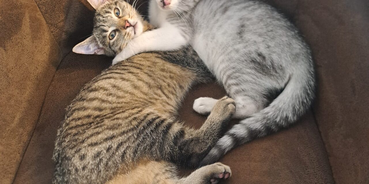 Balu & Leopold sind glücklich