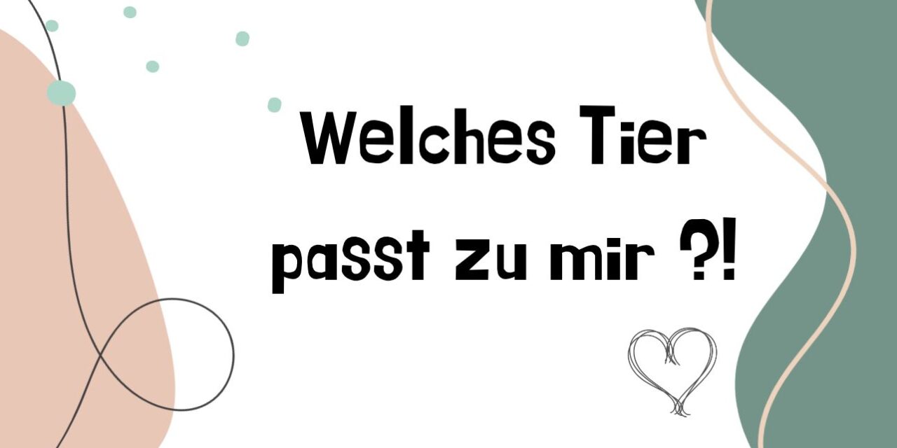 Welches Tier passt wirklich zu mir und meinem Lebenstil?