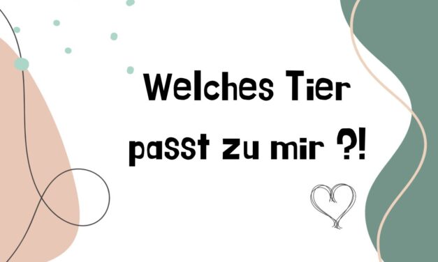 Welches Tier passt wirklich zu mir und meinem Lebenstil?