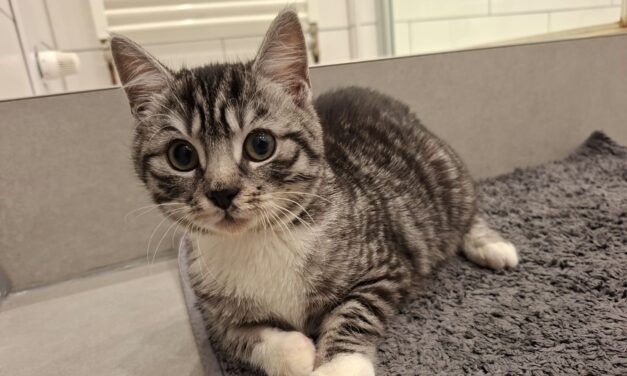 Lita unsere kleine Kämpferin❤️